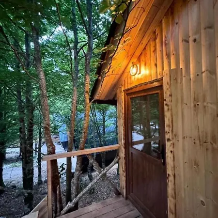 Forest View & Treehouses ラグジュアリーテント