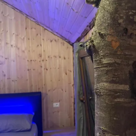 Luxury tent Forest View & Treehouses Valbone