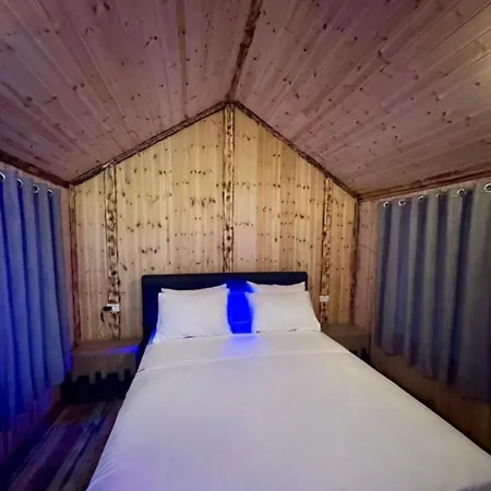 Forest View & Treehouses Luxury tent