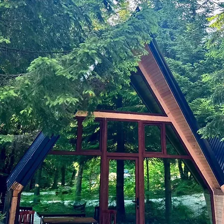 ラグジュアリーテント Forest View & Treehouses