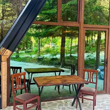 ラグジュアリーテント Forest View & Treehouses