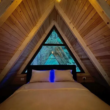 Οργανωμένο κάμπινγκ Forest View & Treehouses